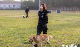警犬与警花电视剧,忠诚守护，热血青春