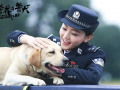 警犬与警花电视剧,忠诚守护，热血青春
