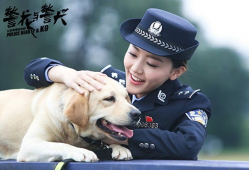 警犬与警花电视剧,忠诚守护，热血青春