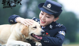 警犬与警花电视剧,忠诚守护，热血青春