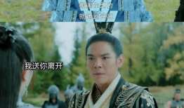 太子电视剧,权谋与爱情的宫廷较量