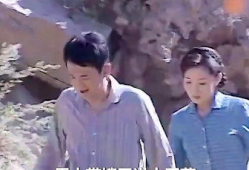 上门女婿电视剧全集,逆袭之路，爱情与事业的抉择