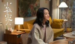 电视剧小敏家,家庭变迁中的爱与成长