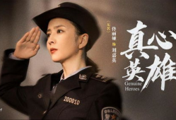 真心英雄电视剧,致敬平凡中的伟大身影