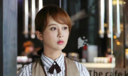 杨紫电视剧大全,青春演绎，情感交织