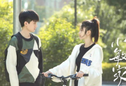 电视剧小敏家,家庭变迁中的爱与成长