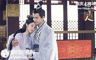 电视剧思美人,探寻人生百态的温情之旅